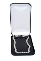 CLASSIC STYLE I NECKLACE LEATHERETTE  BOX 27052-BX